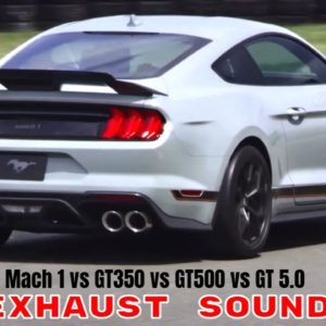Ford Mustang Mach 1 vs GT350 vs GT500 vs GT 5.0 Exhaust Sound