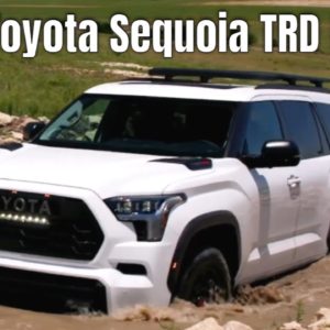 2023 Toyota Sequoia TRD Pro in White