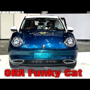 2022 ORA Funky Cat Euro NCAP Safety Test