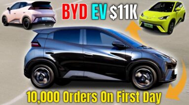 BYD Seagull EV: $11,400 Price Tag Snags 10,000 Orders in 24 Hours!